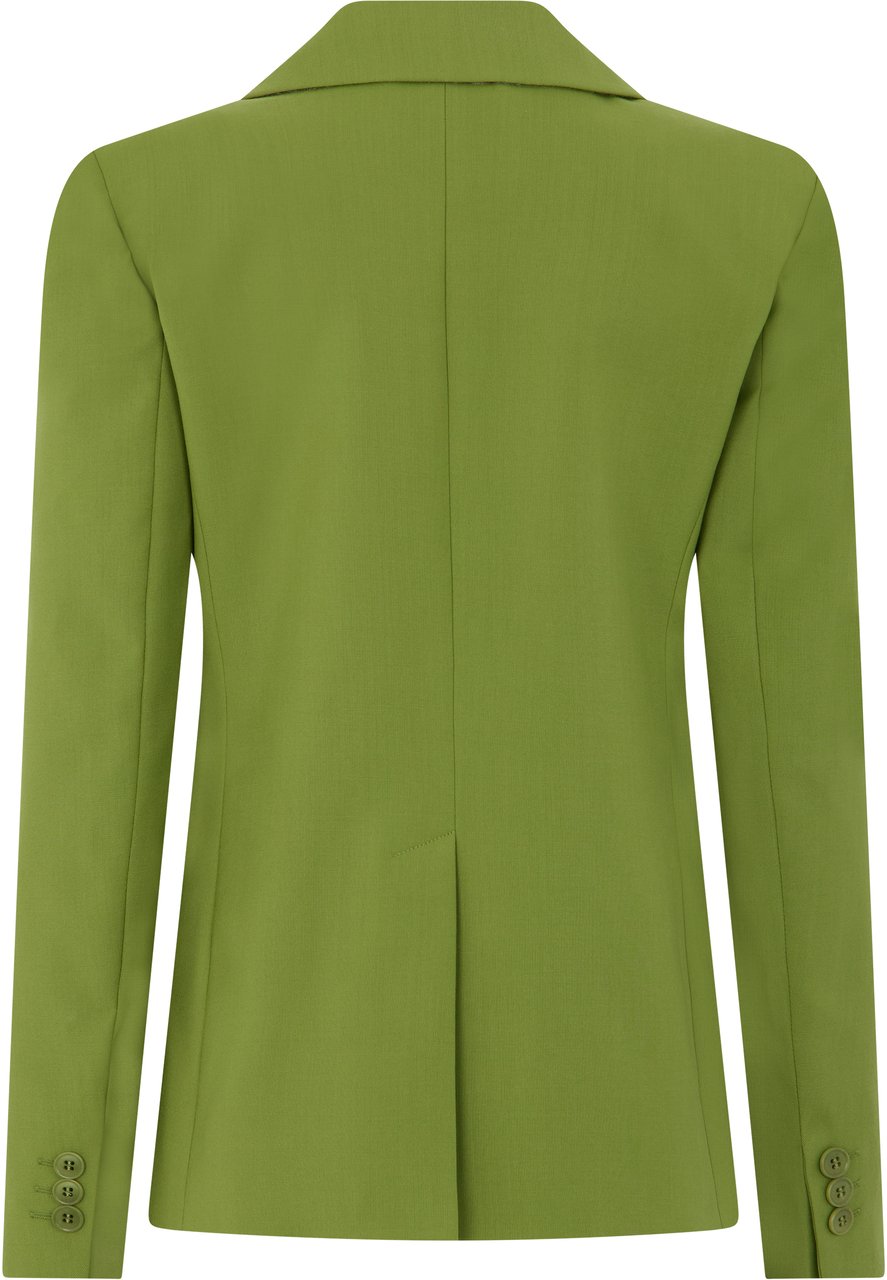 Max Mara Single-breasted jacket Groen