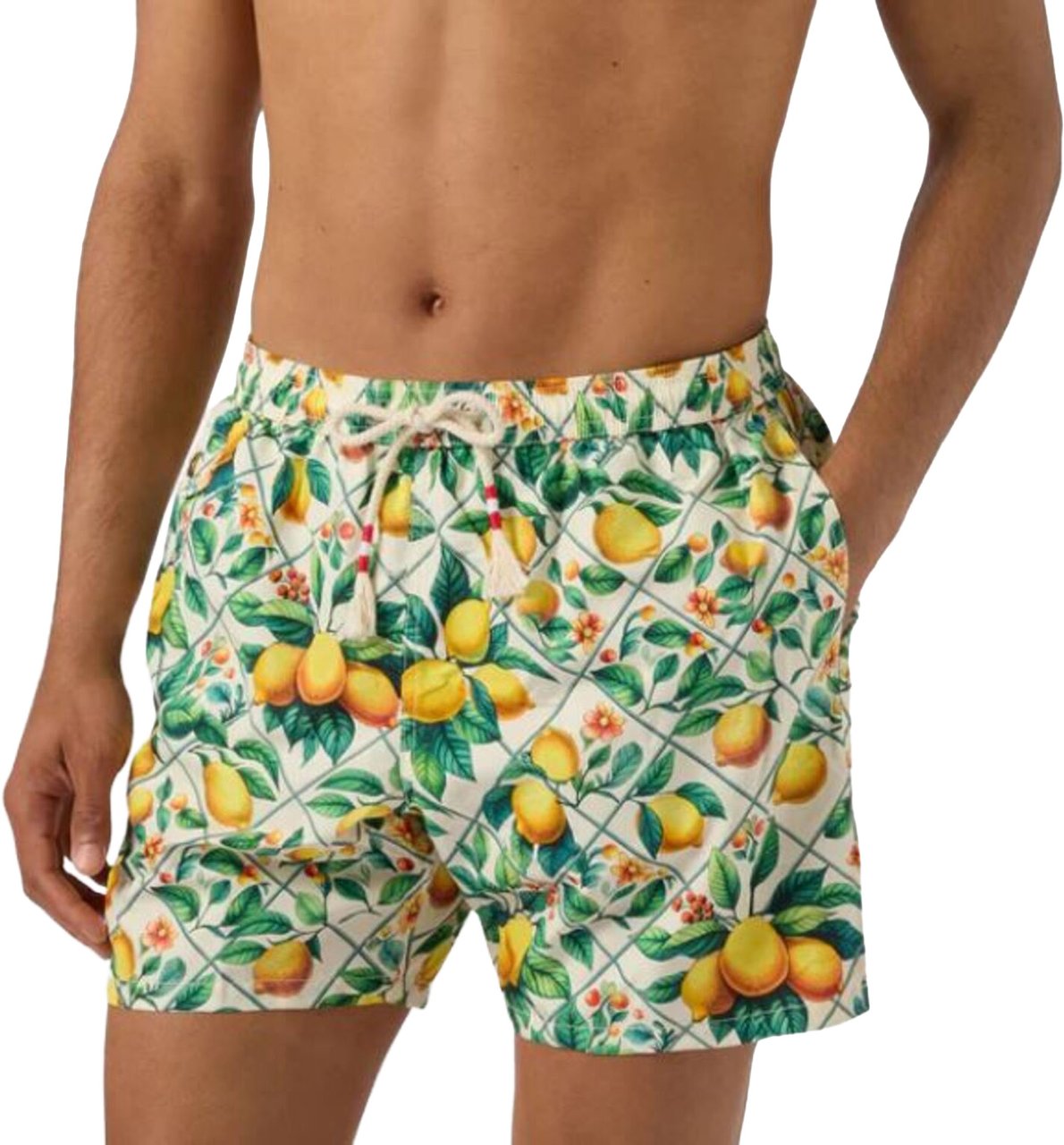 MC2 Saint Barth Sea Clothing Multicolor Divers