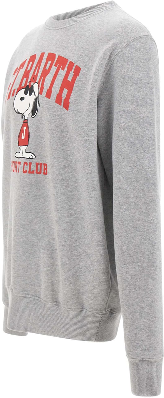 MC2 Saint Barth Sweaters Grey Grijs