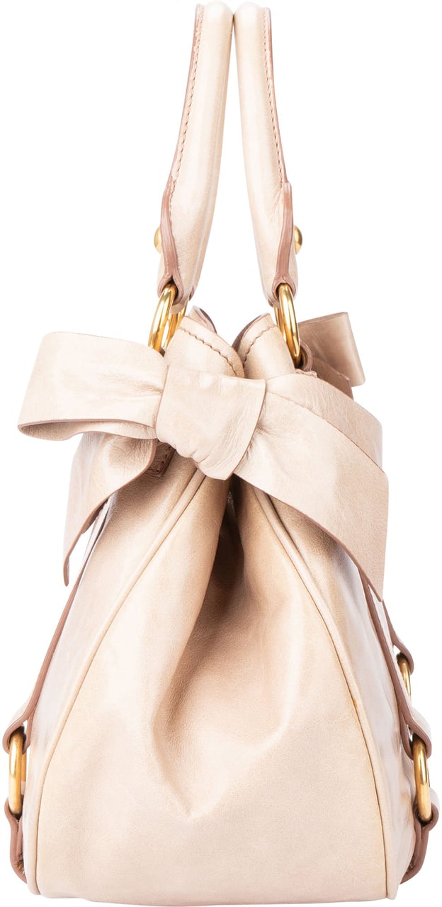 Miu Miu Miu Miu Rose Leather City Handbag Divers