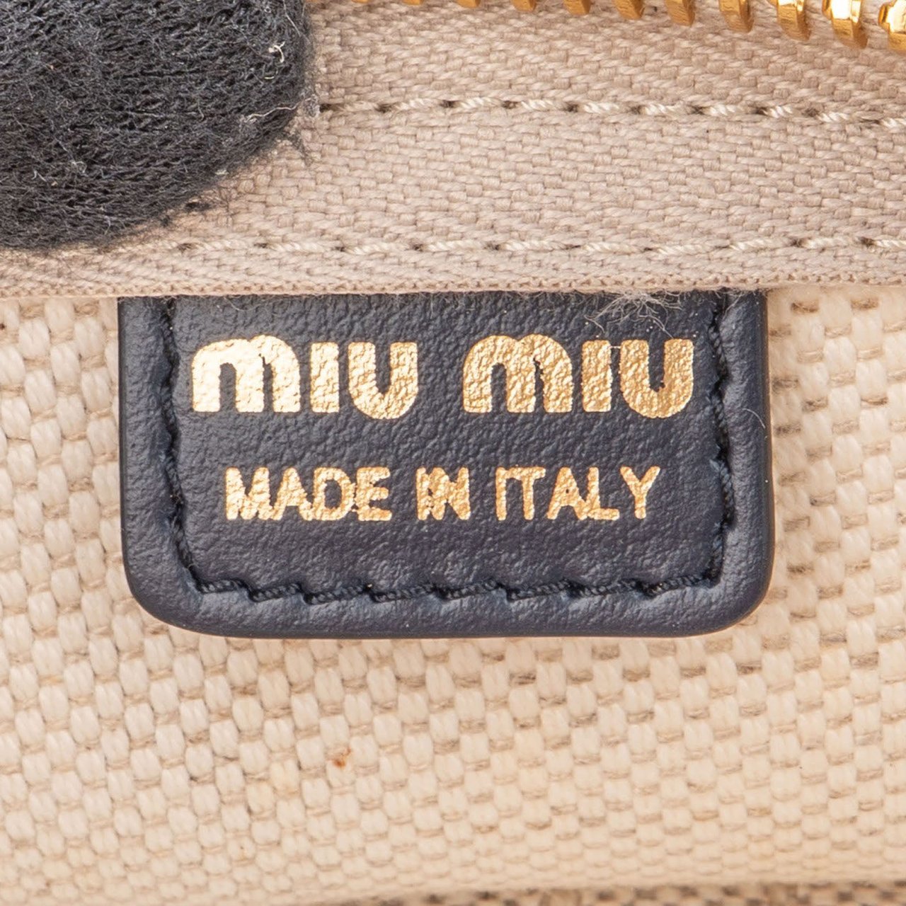 Miu Miu Chic Canvas Emblem Pouch Bag Wit