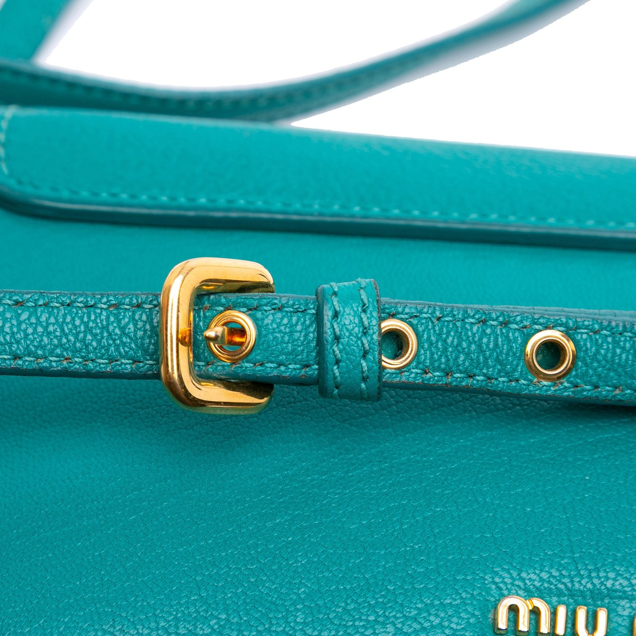 Miu Miu Goatskin Madras Crossbody Blauw