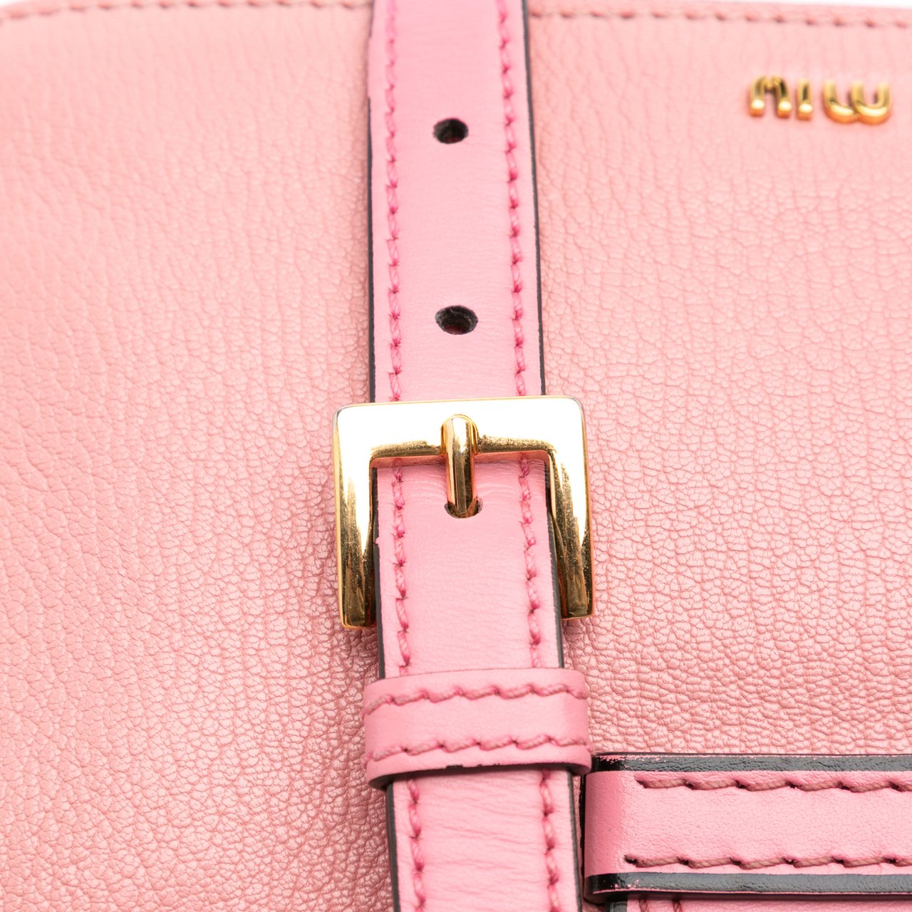 Miu Miu Goatskin Madras Soft Calf Crystal Embellished Crossbody Roze