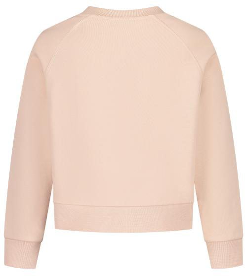 Moncler Sweatshirt Roze