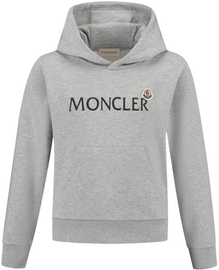 Moncler Hoodie Sweater Grijs