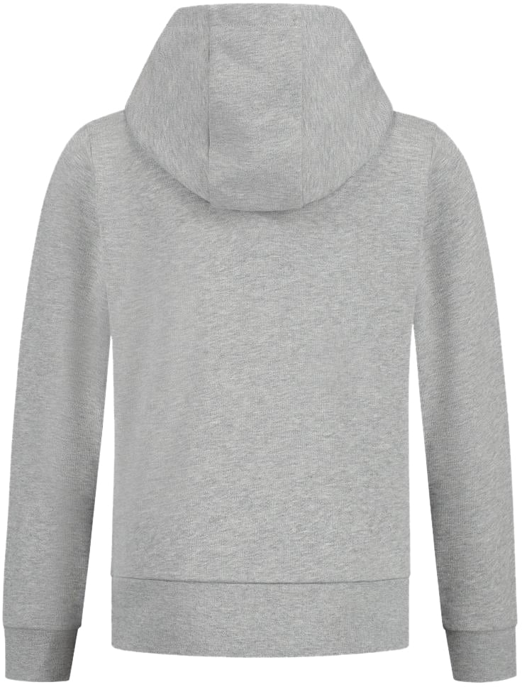 Moncler Hoodie Sweater Grijs