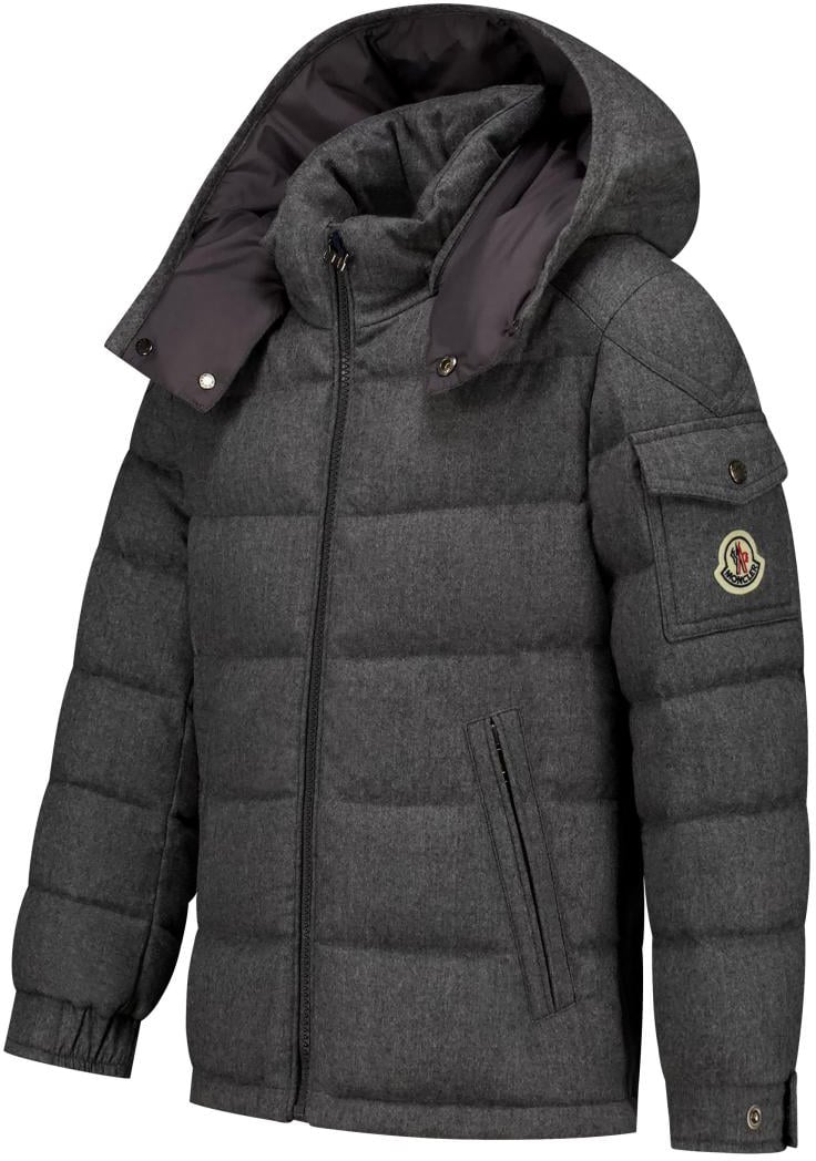 Moncler Montgenevre Jacket Grijs