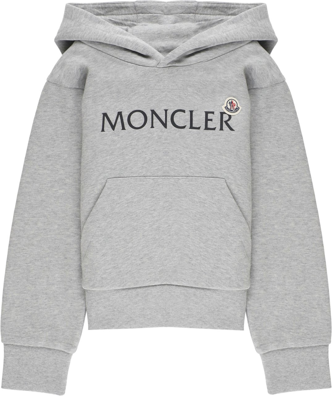 Moncler Sweaters Grey Grijs
