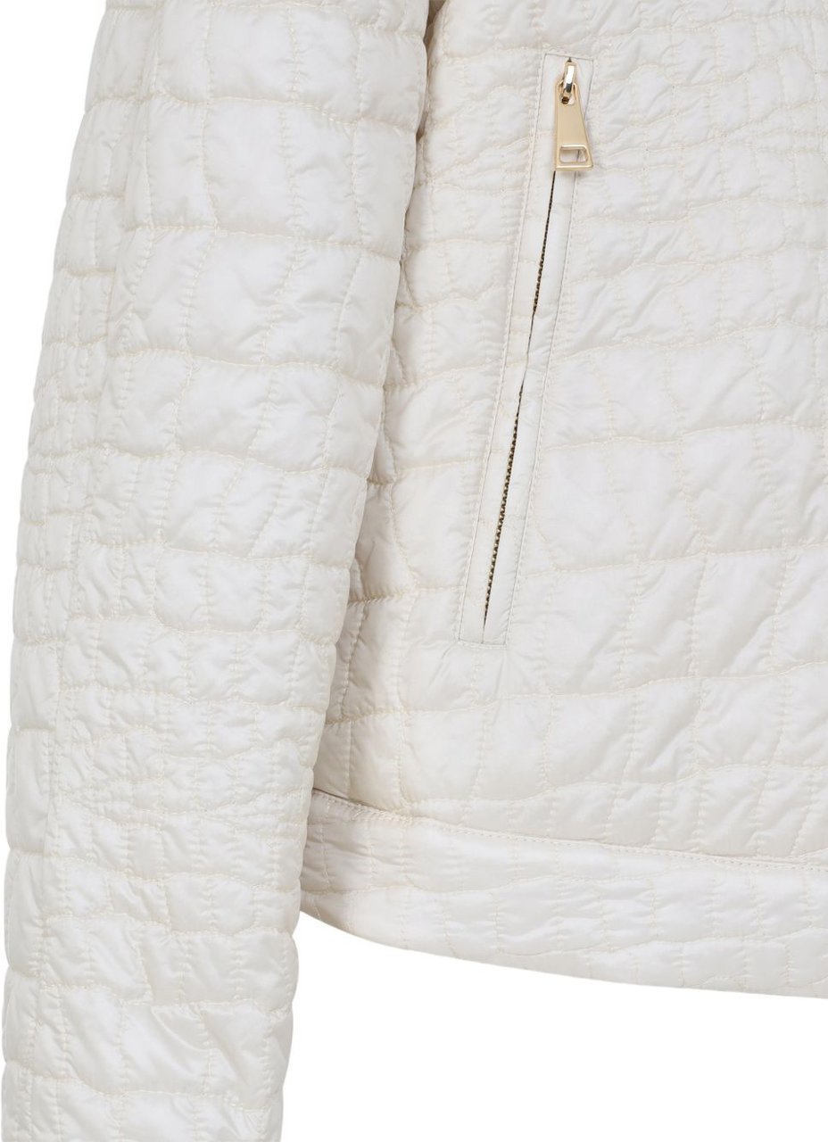 Moncler Jackets Divers Divers