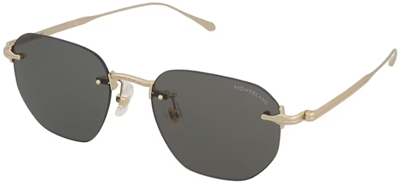 Montblanc Montblanc MB0455S Zwart