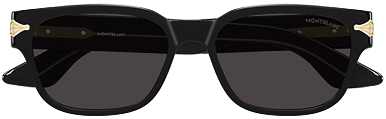 Montblanc Montblanc MB0479S Zwart