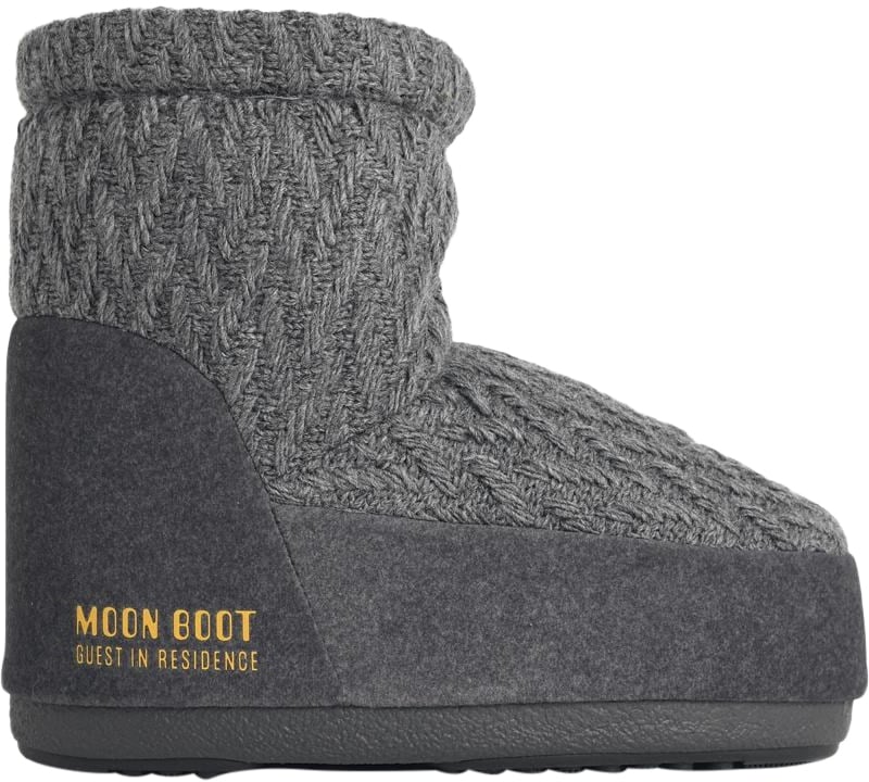 Moon Boot Boots Grey Grijs