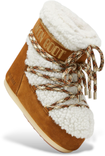Moon Boot Boots Brandy Bruin