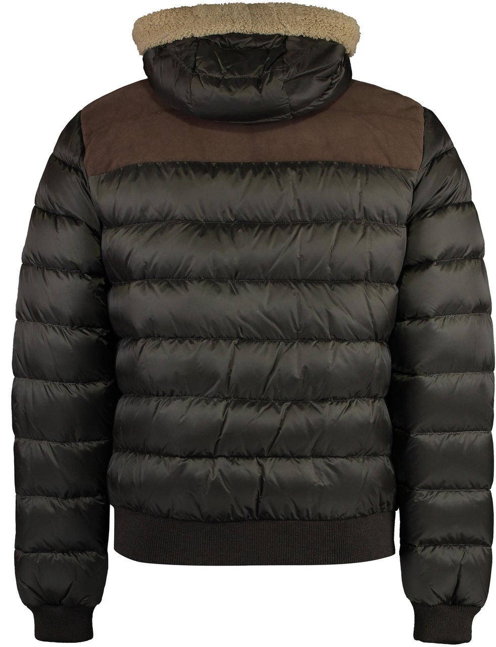 Moorer Peter hooded down jacket Groen