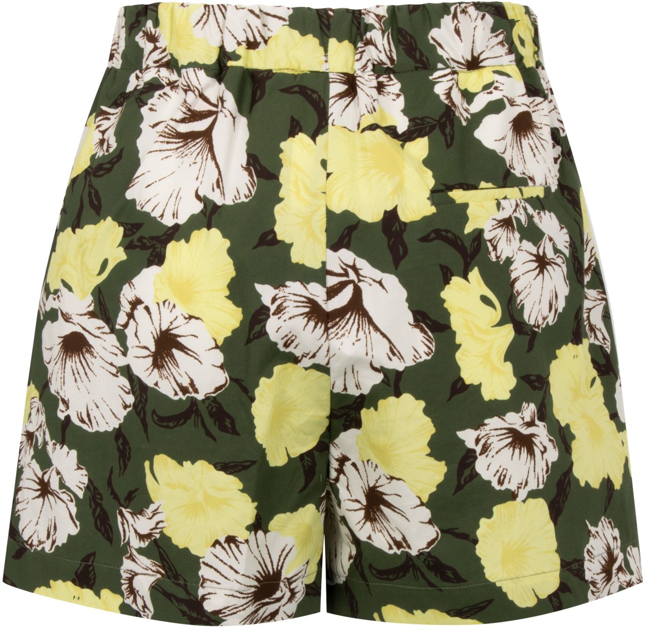 MSGM Cotton shorts Groen