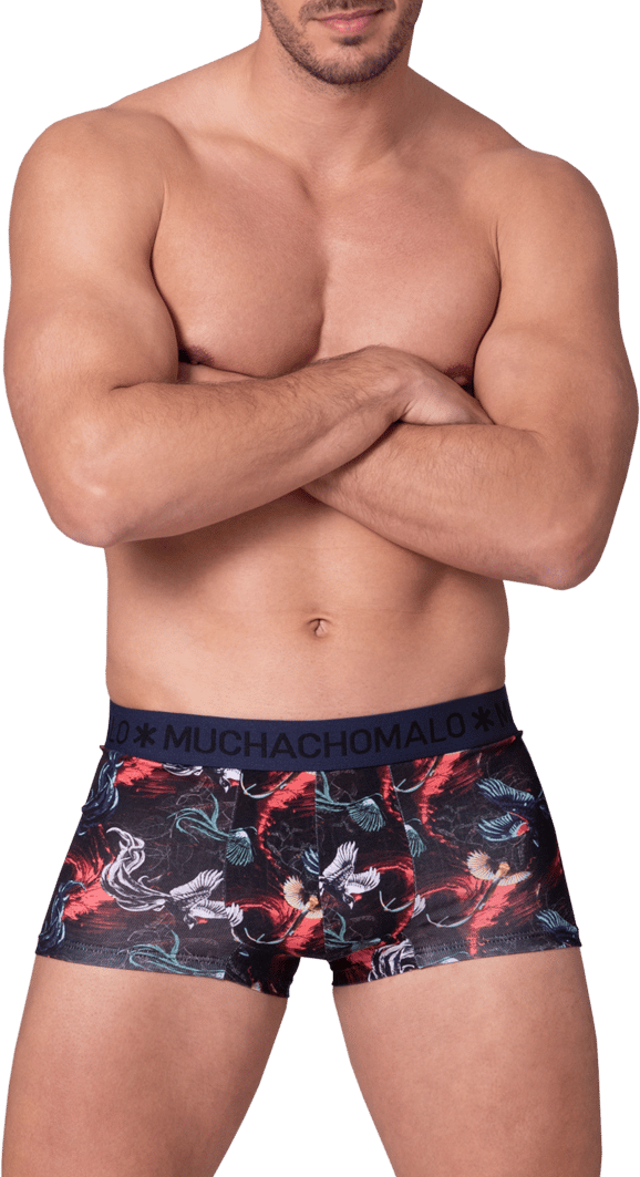 Muchachomalo Muchachomalo Divers