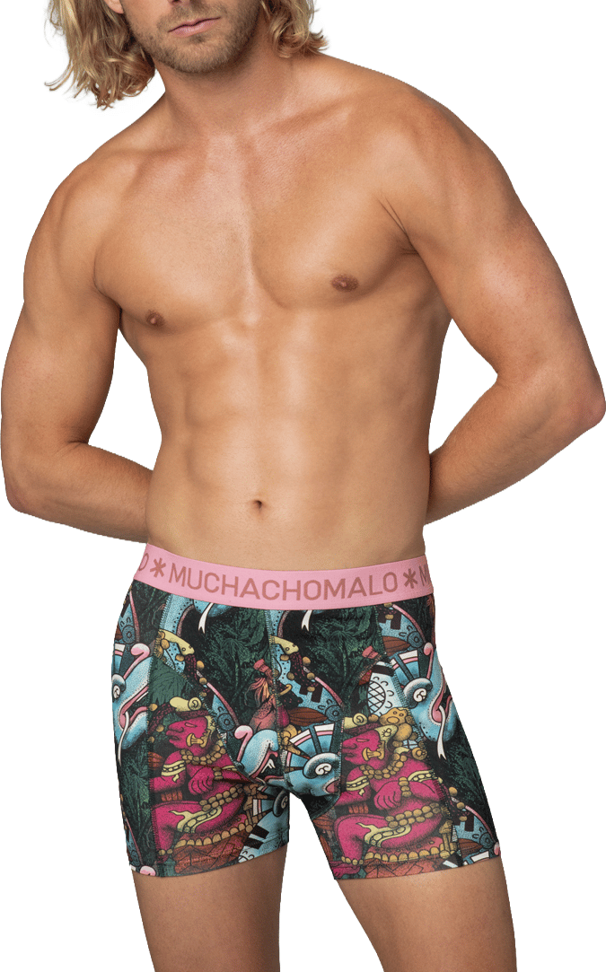 Muchachomalo Boxershorts 2-Pack Multicolor Divers