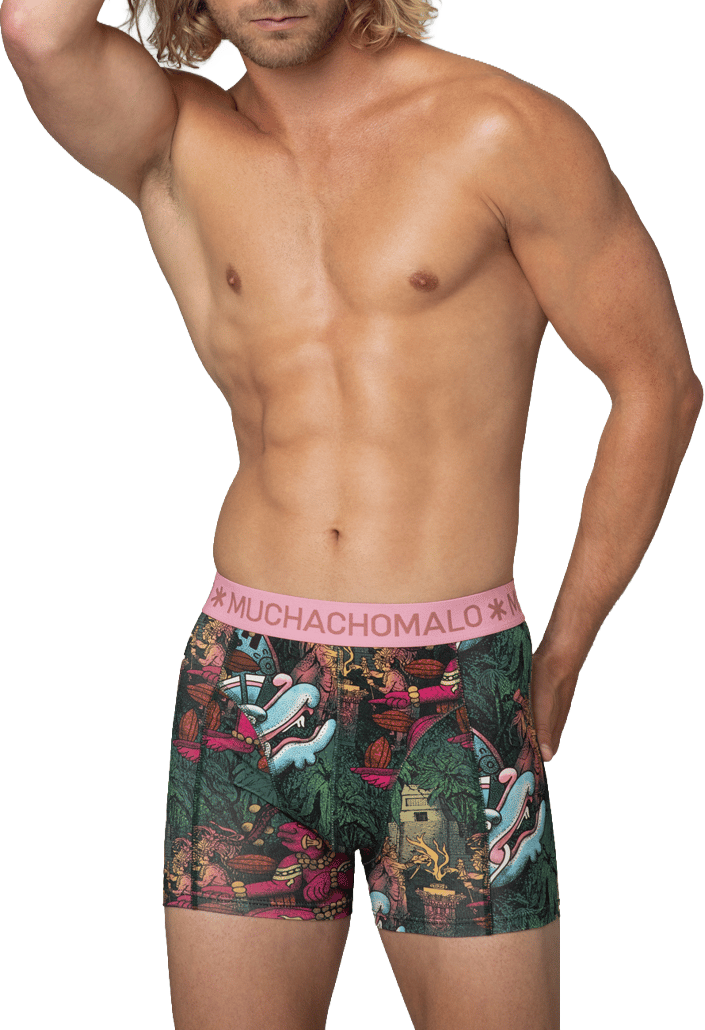 Muchachomalo Boxershorts 3-Pack Multicolor Divers
