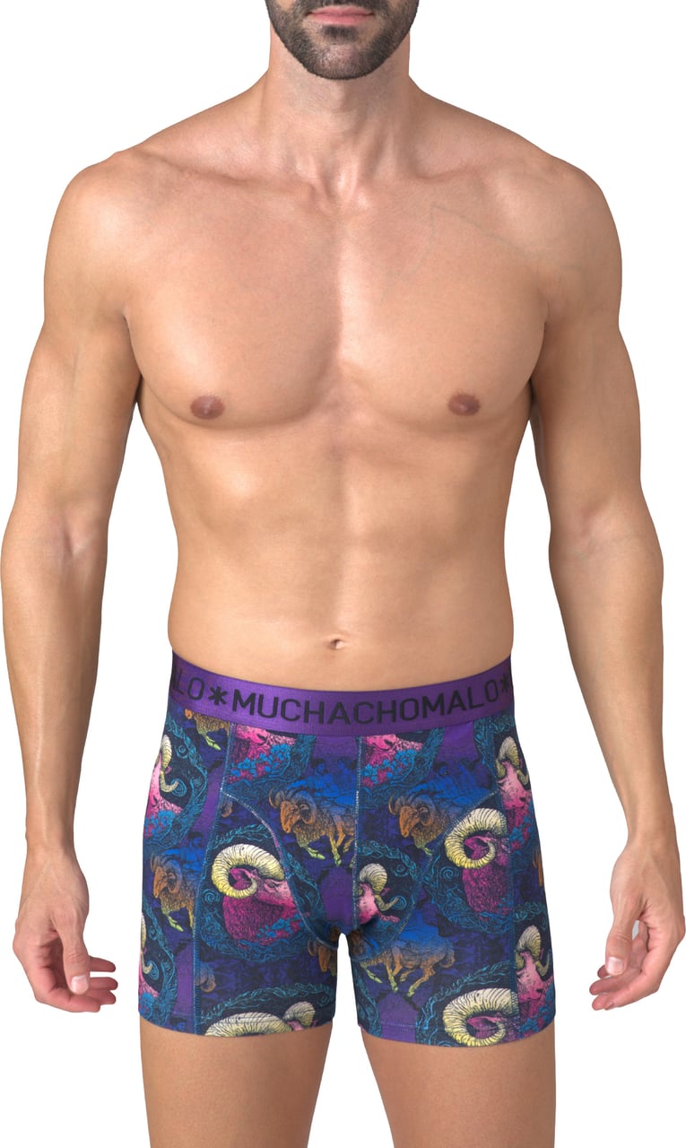 Muchachomalo Boxershorts 2-Pack Multicolor Divers