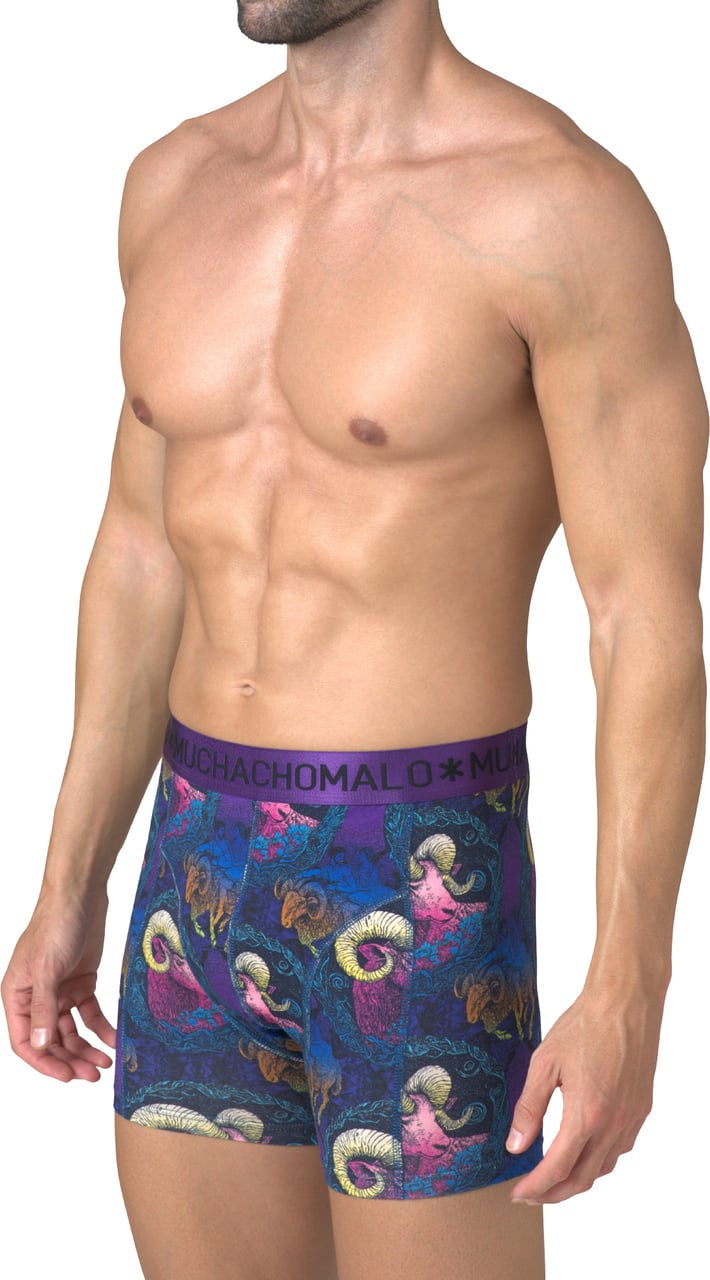 Muchachomalo Boxershorts 2-Pack Multicolor Divers