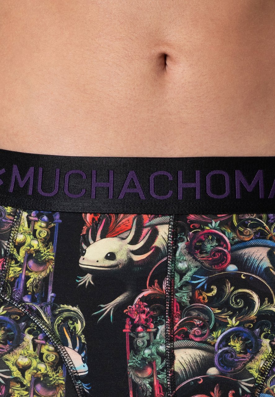 Muchachomalo Boxershorts 2-Pack Multicolor Divers