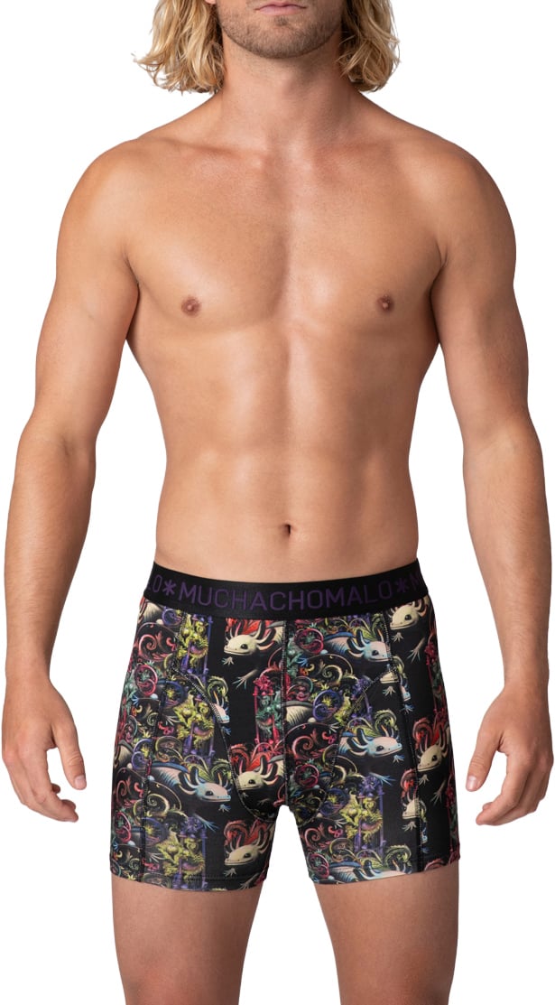 Muchachomalo Boxershorts 2-Pack Multicolor Divers