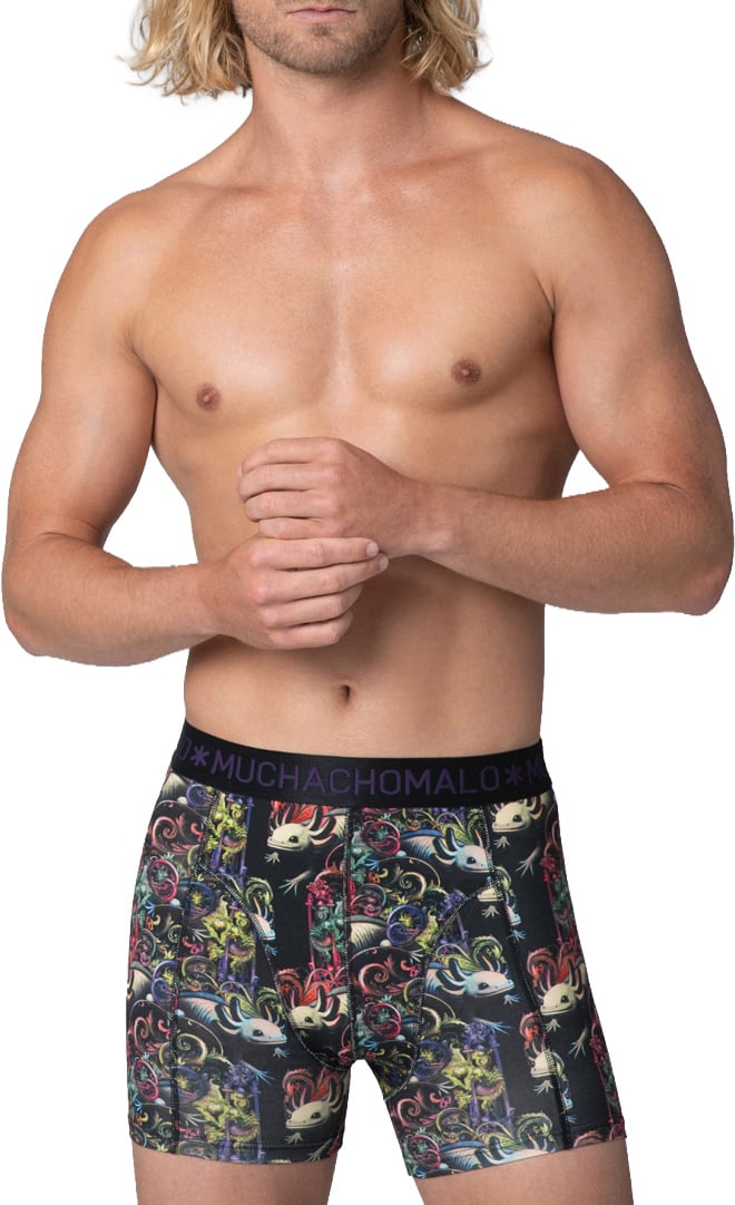 Muchachomalo Boxershorts 2-Pack Multicolor Divers