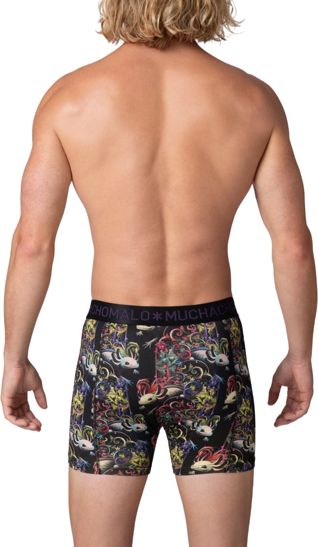 Muchachomalo Boxershorts 2-Pack Multicolor Divers