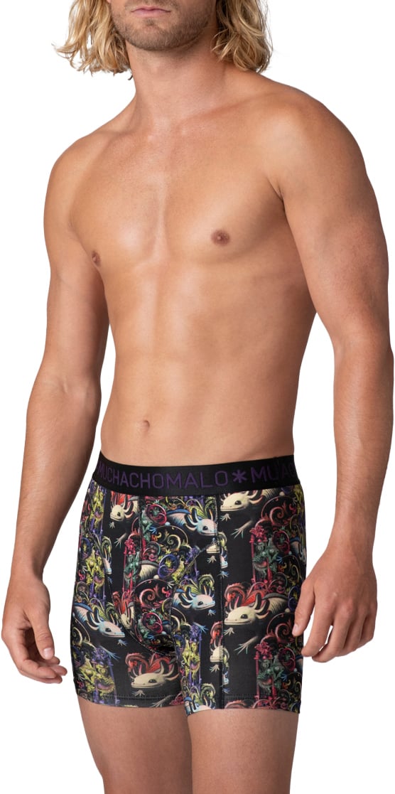 Muchachomalo Boxershorts 2-Pack Multicolor Divers