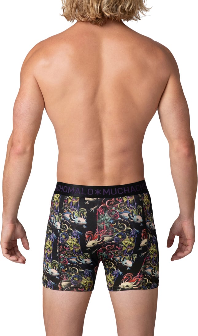 Muchachomalo Boxershorts 2-Pack Multicolor Divers