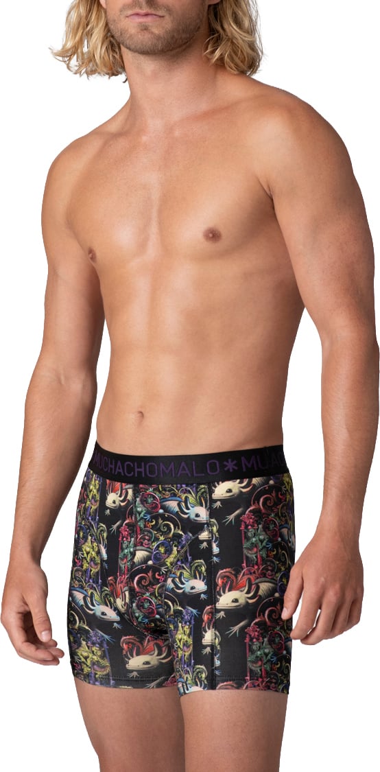 Muchachomalo Boxershorts 2-Pack Multicolor Divers