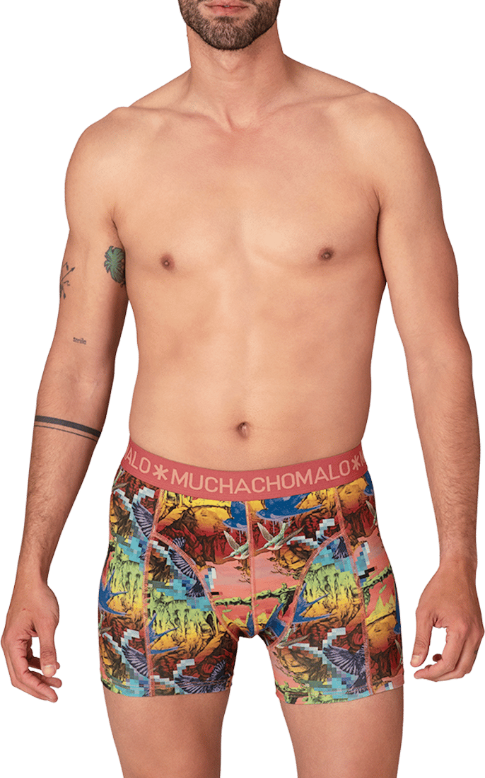 Muchachomalo Muchachomalo Divers