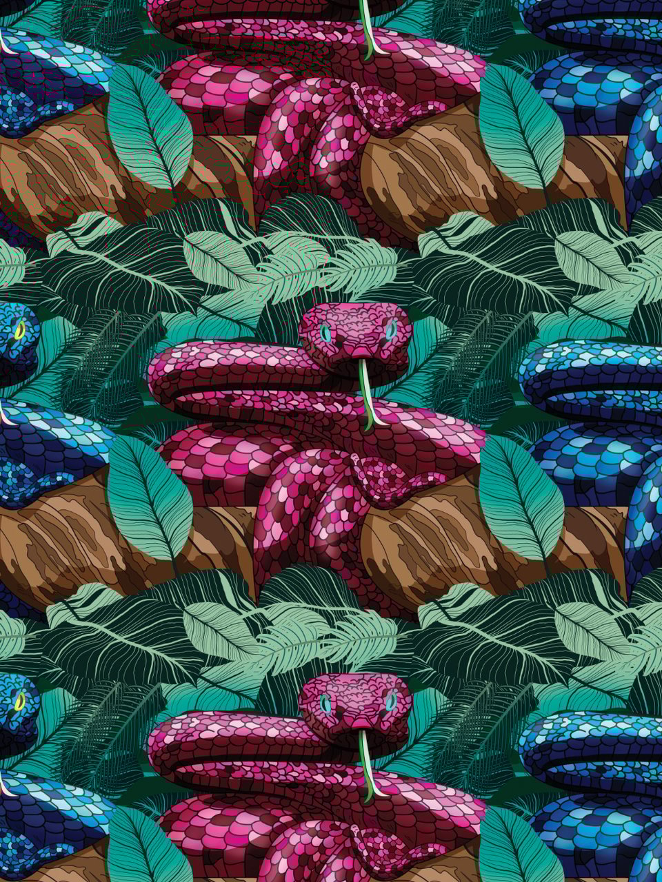 Muchachomalo Muchachomalo Divers