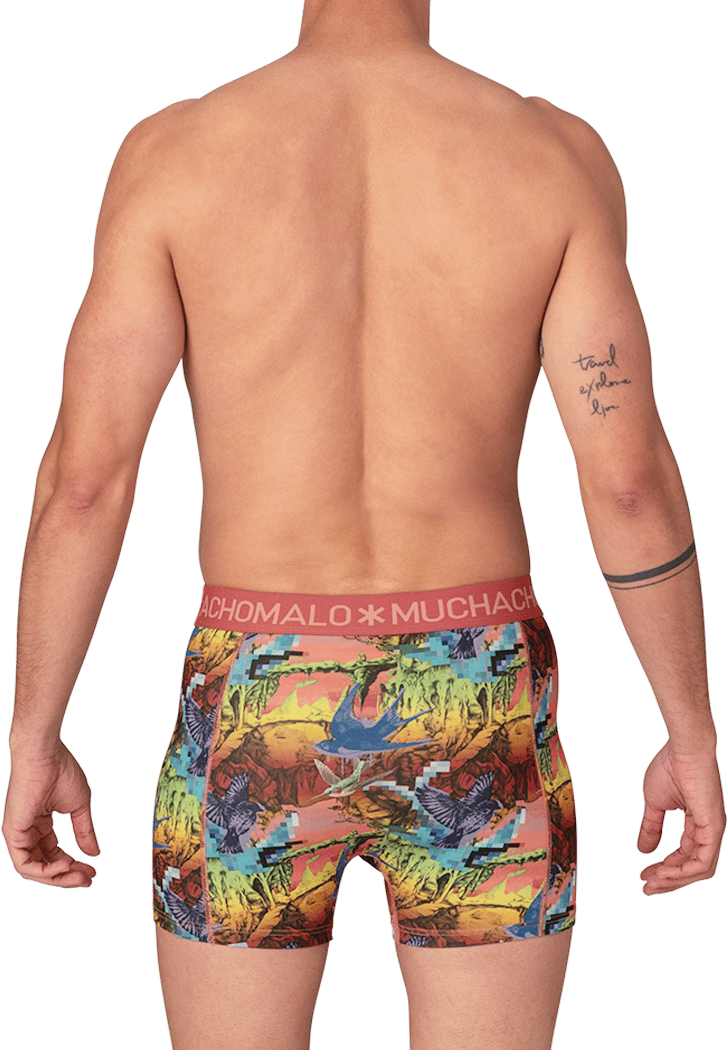 Muchachomalo Muchachomalo Divers