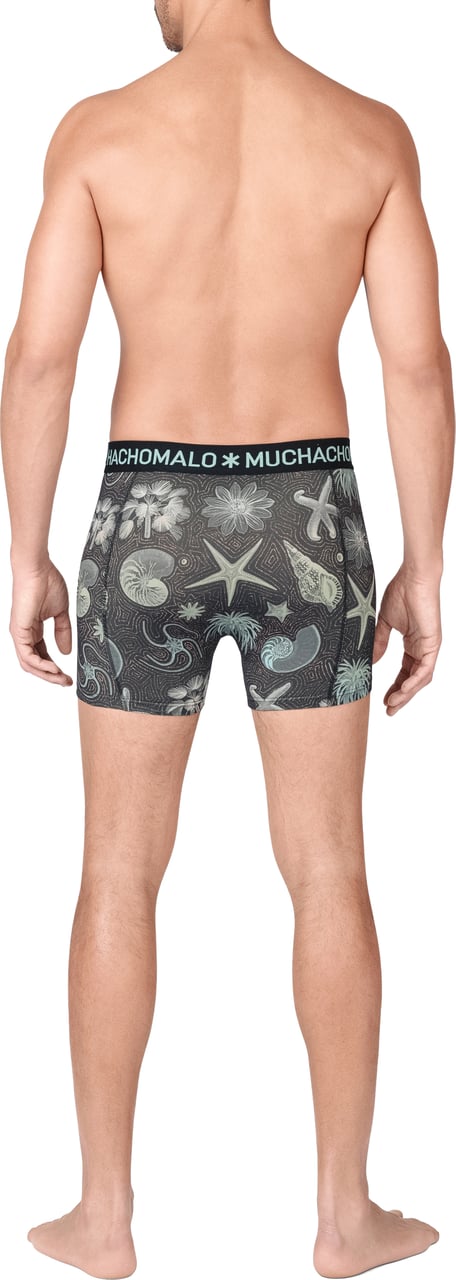 Muchachomalo Boxershorts 6-Pack Multicolor. Divers