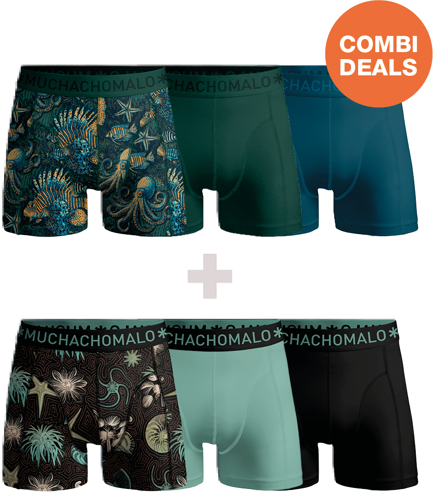 Muchachomalo Muchachomalo Divers