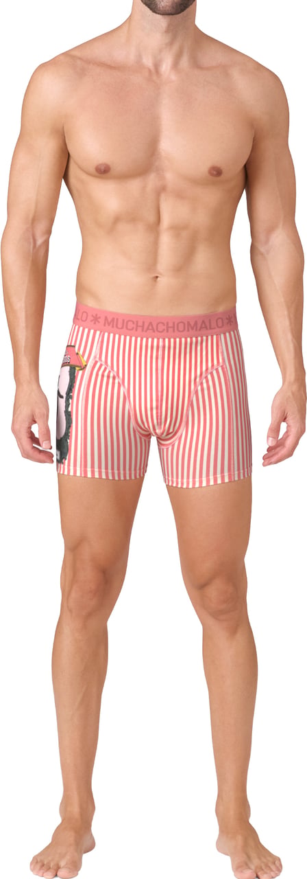 Muchachomalo Boxershorts 2-Pack Multicolor Divers