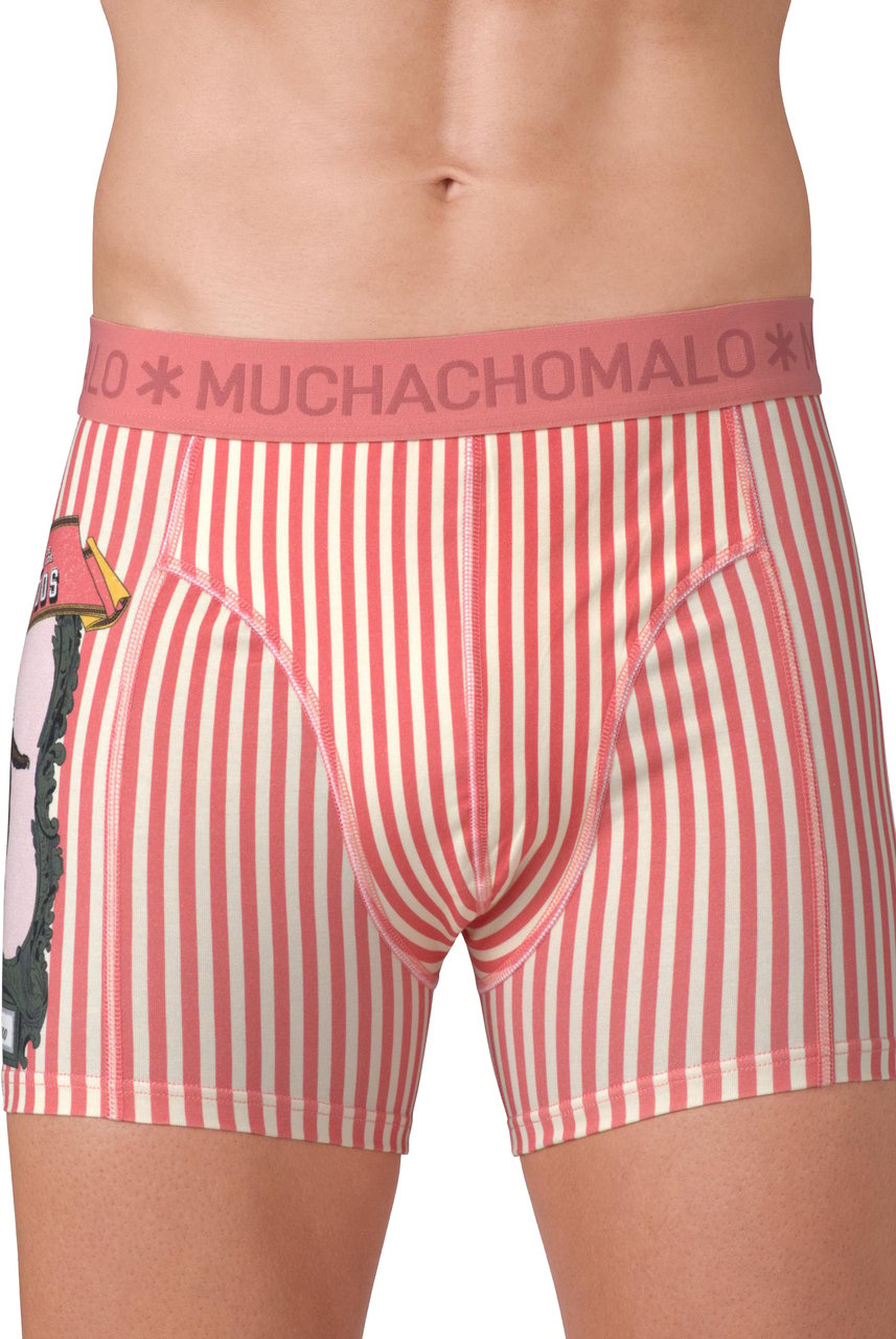 Muchachomalo Boxershorts 2-Pack Multicolor Divers