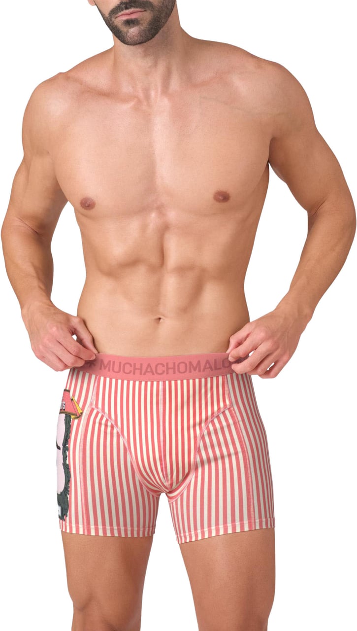 Muchachomalo Boxershorts 2-Pack Multicolor Divers