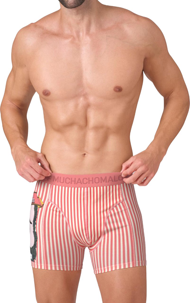 Muchachomalo Boxershorts 2-Pack Multicolor Divers
