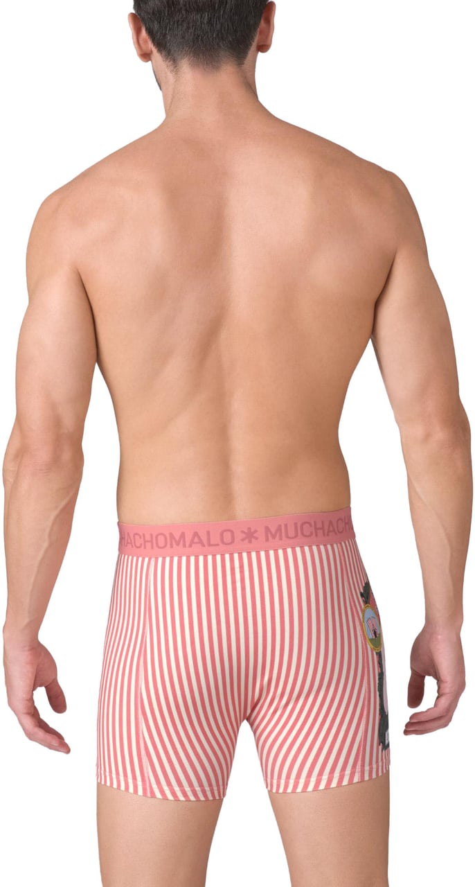 Muchachomalo Boxershorts 2-Pack Multicolor Divers