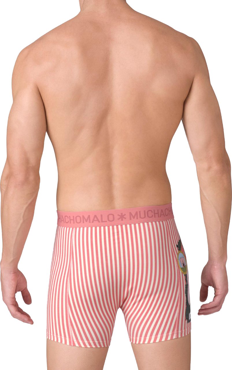 Muchachomalo Boxershorts 2-Pack Multicolor Divers