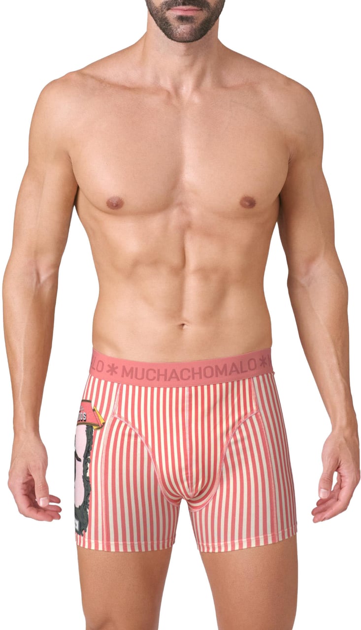 Muchachomalo Boxershorts 2-Pack Multicolor Divers