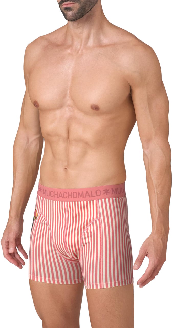 Muchachomalo Boxershorts 2-Pack Multicolor Divers