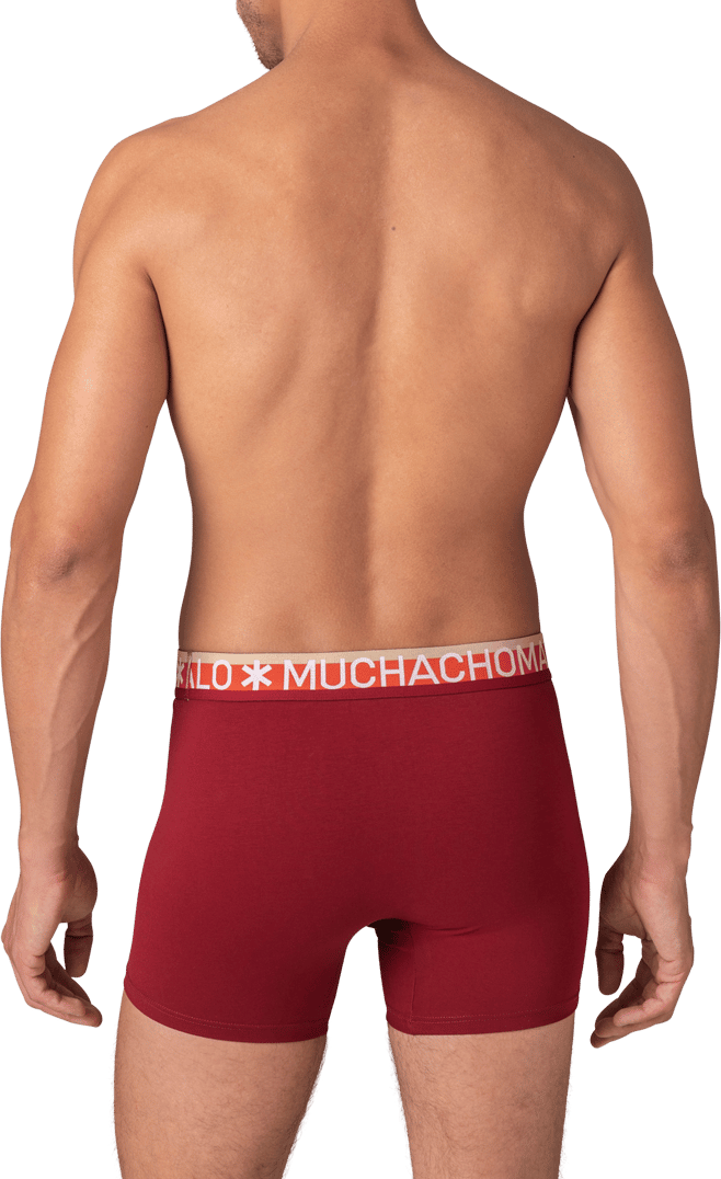 Muchachomalo Boxershorts 3-Pack Multicolor Divers