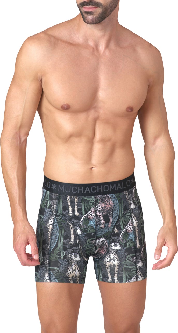Muchachomalo Boxershorts 2-Pack Multicolor Divers