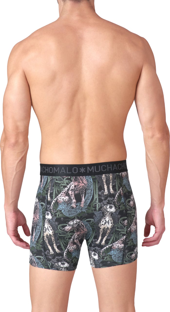 Muchachomalo Boxershorts 2-Pack Multicolor Divers