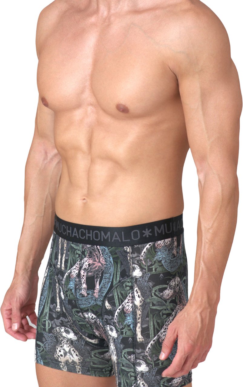 Muchachomalo Boxershorts 2-Pack Multicolor Divers