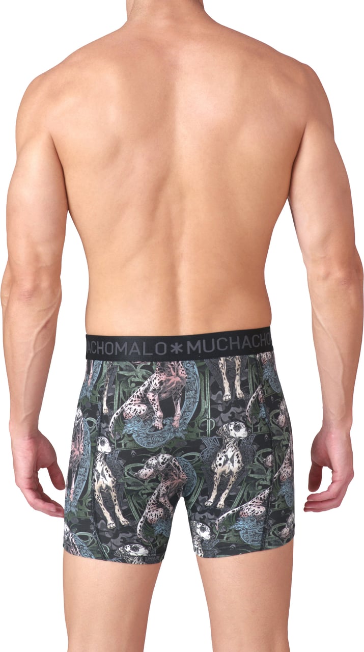 Muchachomalo Boxershorts 2-Pack Multicolor Divers