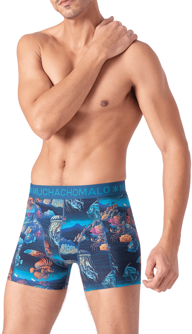 Muchachomalo Boxershorts 3-Pack Multicolor Divers